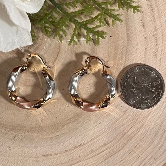 Chunky Twisted Hoop Earrings NWT - Picture 5 of 6